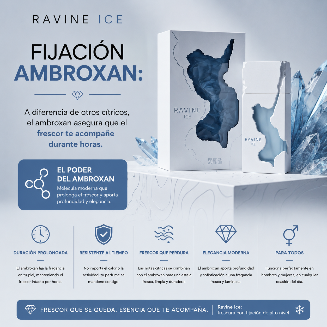 Ravine Ice French Avenue | Perfume Cítrico Aromático Unisex 100ml